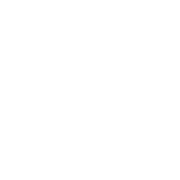 Intro icon
