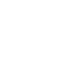 General icon